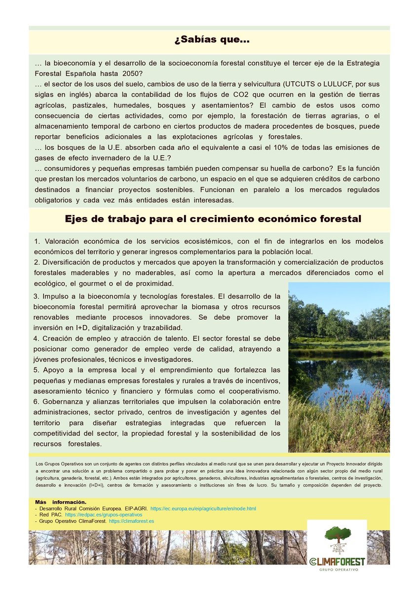 GOClimaforest's tweet image. Los servicios de los ecosistemas forestales son una oportunidad para el crecimiento económico del sector forestal y la generación de empleo en el medio rural. Explora con nosotros nuestro nuevo Fact Sheet para conocer mejor los beneficios económicos de nuestros bosques.👉👉