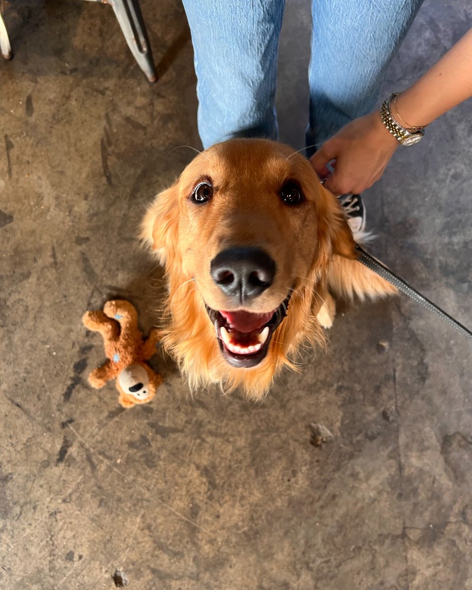 During July, when you purchase a Fiesta Island Pilsner 🍺  we will make a donation to A Way Home For Dogs 🐶 to support their mission of rescuing street strays and rehoming unclaimed pets.

#DrinkForACause #SupportRescueDogs #BayCityBrewing #PawsitiveImpact