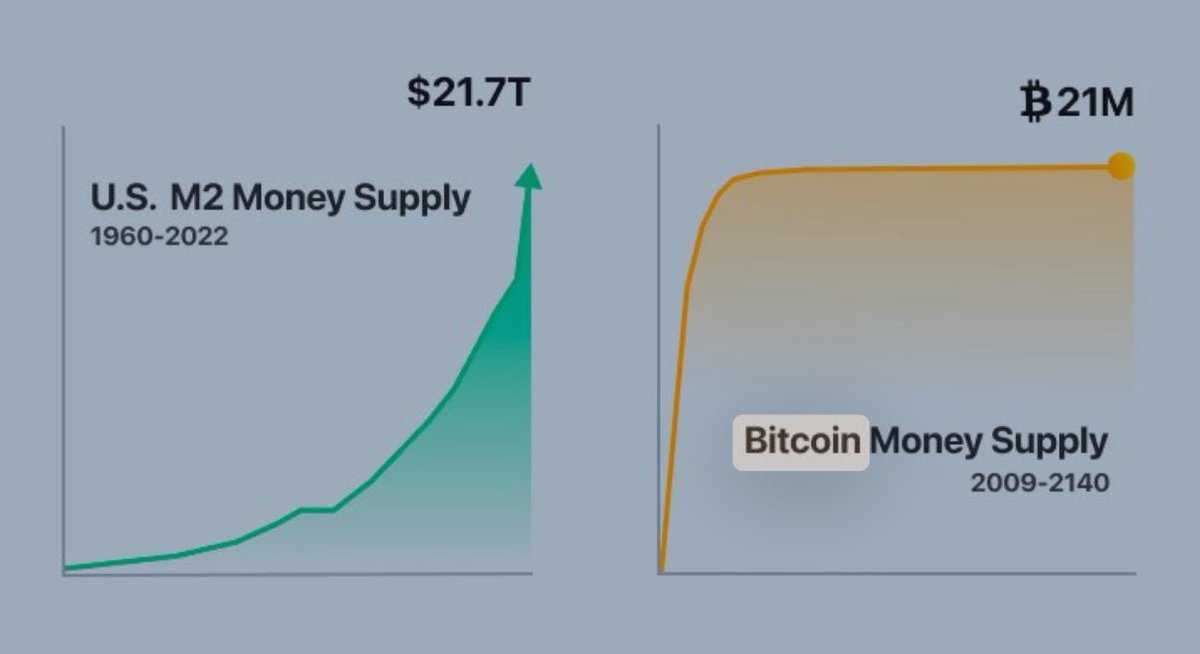 The Flat Curve you are looking for is BITCOIN. 👇