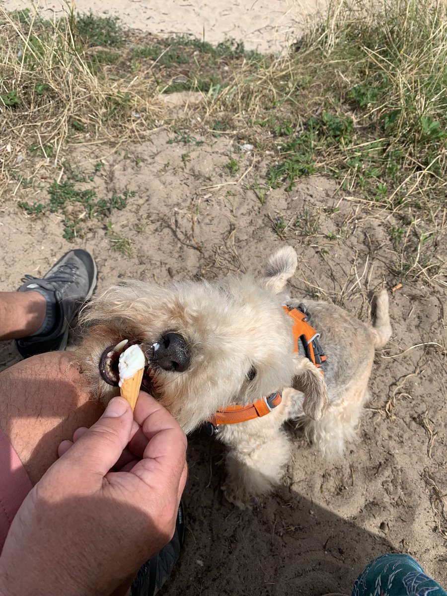 Photo from last summer but look at the injustice pals 😳 This is totally UNFAIR 🍦 #TOT #TongueOutTuesday with the smallest ice-cream in the world 😬 😡