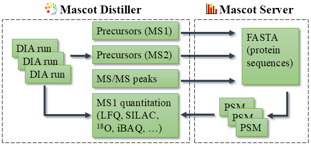 We are working on Mascot DIA, which is a universal spectrum-centric solution for DIA analysis. What is spectrum-centric searching meant to solve? Find out in our blog:

matrixscience.com/blog/the-promi…

#proteomics #massspec
