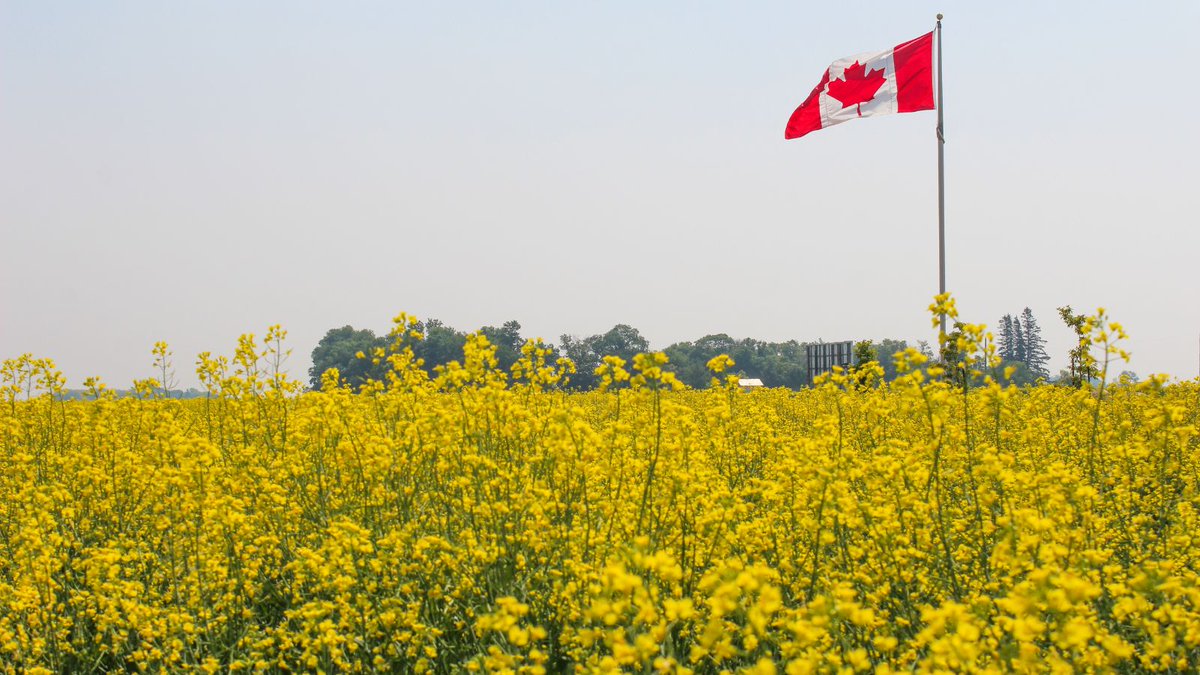 Happy Canada day from all of us at Nufarm! We hope you have a great day celebrating the great country we live in. #CdnAg