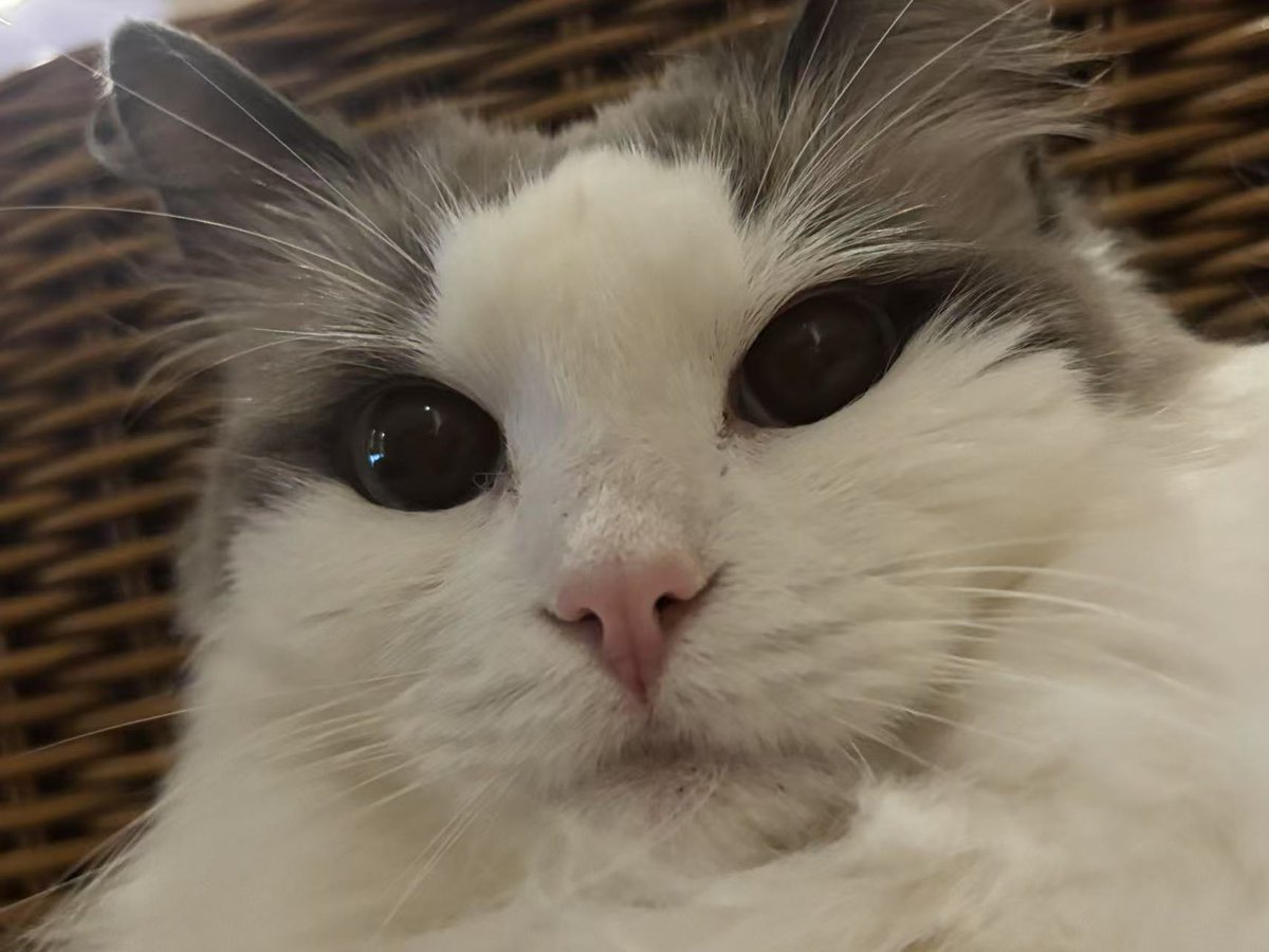 福利姬肉肉小香瓜分享的黄推图片2 - 网红私拍内容