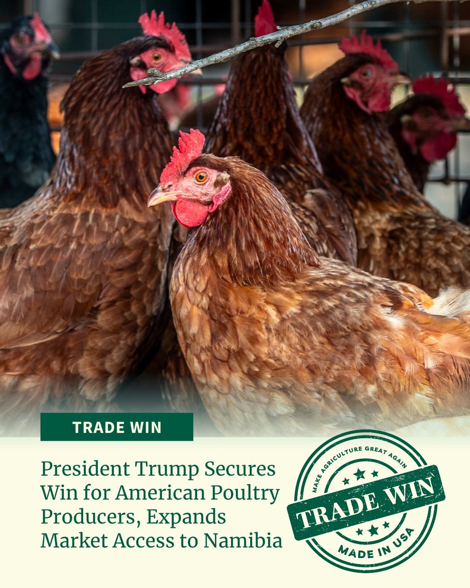 Trade win 💪🐓

Effective July 1, American exporters are now eligible to ship fresh, frozen, or chilled poultry and poultry products to Namibia, unlocking new market access! The Trump Administration continues to take bold action to break down non-tariff barriers and expand market