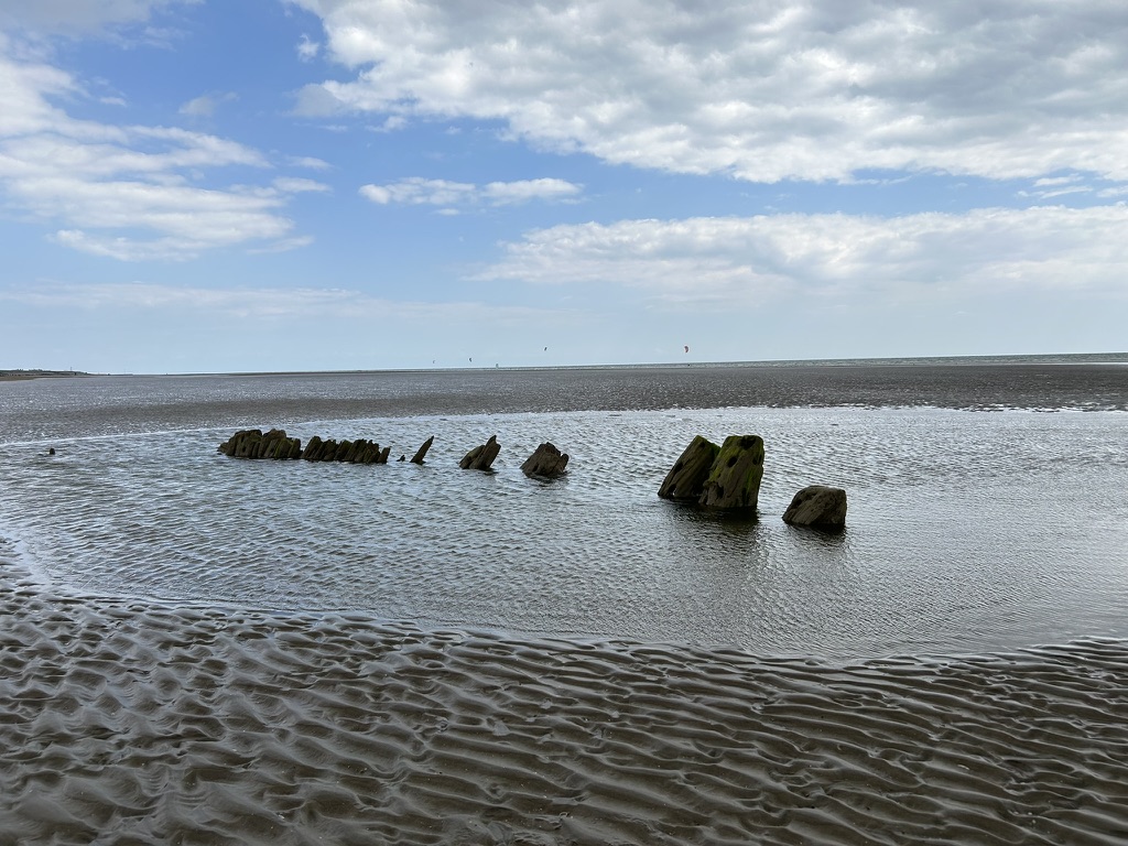 Katie Rose tweet media