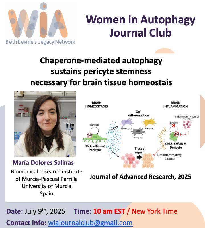 WAutophagy's tweet image. 🧠✨ Journal Club Alert!
📅 9th July | 10:00 AM (EST)
👩⚕️ Dr. Salinas presents:
“Chaperone-mediated autophagy sustains pericyte stemness necessary for brain tissue homeostasis”
🔬 Don’t miss!