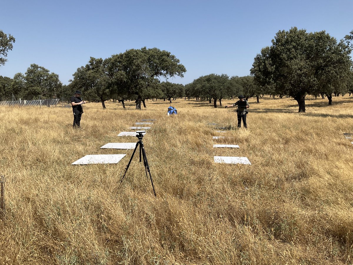 SpecLab CSIC tweet media