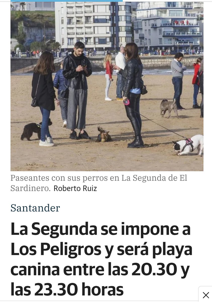 Sandra Bedia tweet media