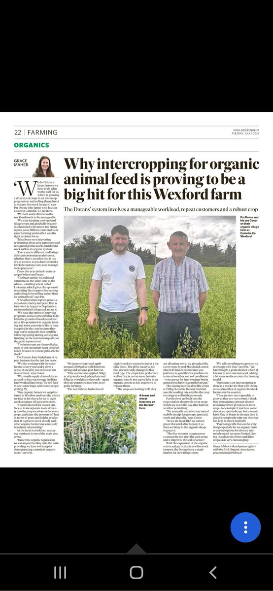 Gillian IOA (@gillianiofga) on Twitter photo Successful intercropping for animal feed on an organic farm, great example of self sufficient supply in Co Wexford. <a href="/IrishOrganicA/">Irish Organic Association</a> <a href="/agriculture_ie/">Dept of Agriculture, Food and the Marine</a> <a href="/martinheydonfg/">Martin Heydon</a> Successful intercropping for animal feed on an organic farm, great example of self sufficient supply in Co Wexford. <a href="/IrishOrganicA/">Irish Organic Association</a> <a href="/agriculture_ie/">Dept of Agriculture, Food and the Marine</a> <a href="/martinheydonfg/">Martin Heydon</a>