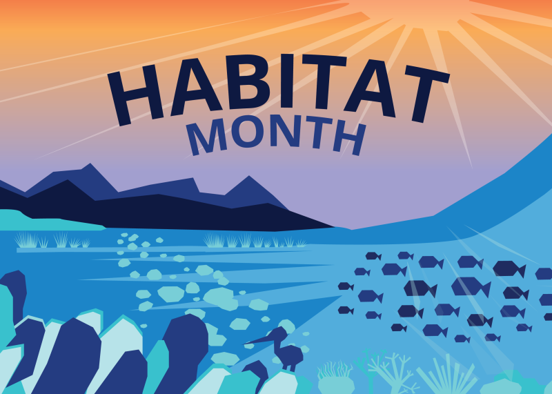 NOAA Habitat (@noaahabitat) on Twitter photo July is #HabitatMonth at <a href="/NOAAFisheries/">NOAA Fisheries</a>! 🐟🪸🌊🏞️
All month long, we'll be sharing how we protect and restore habitats to support our nation's fisheries, endangered species, and coastal communities.
fisheries.noaa.gov/feature-story/… July is #HabitatMonth at <a href="/NOAAFisheries/">NOAA Fisheries</a>! 🐟🪸🌊🏞️
All month long, we'll be sharing how we protect and restore habitats to support our nation's fisheries, endangered species, and coastal communities.
fisheries.noaa.gov/feature-story/…