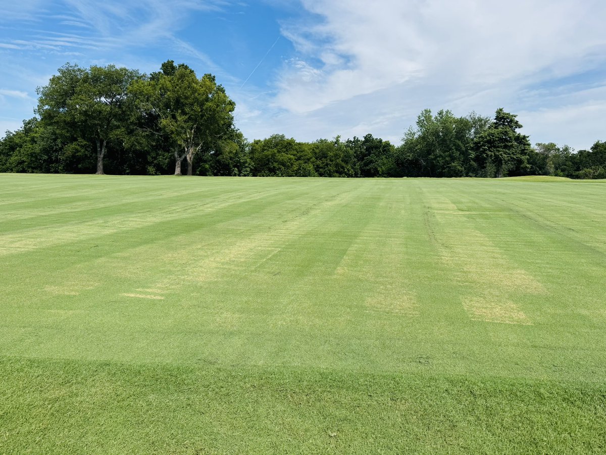 Cody Elwood tweet media