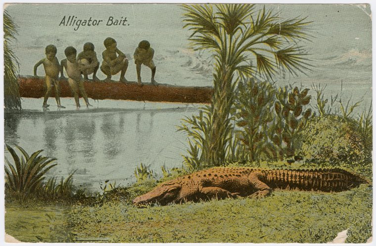 For context, white supremacists have had a long standing fixation with alligators eating Black and Brown people. This isn't new and it's not about illegal immigration.