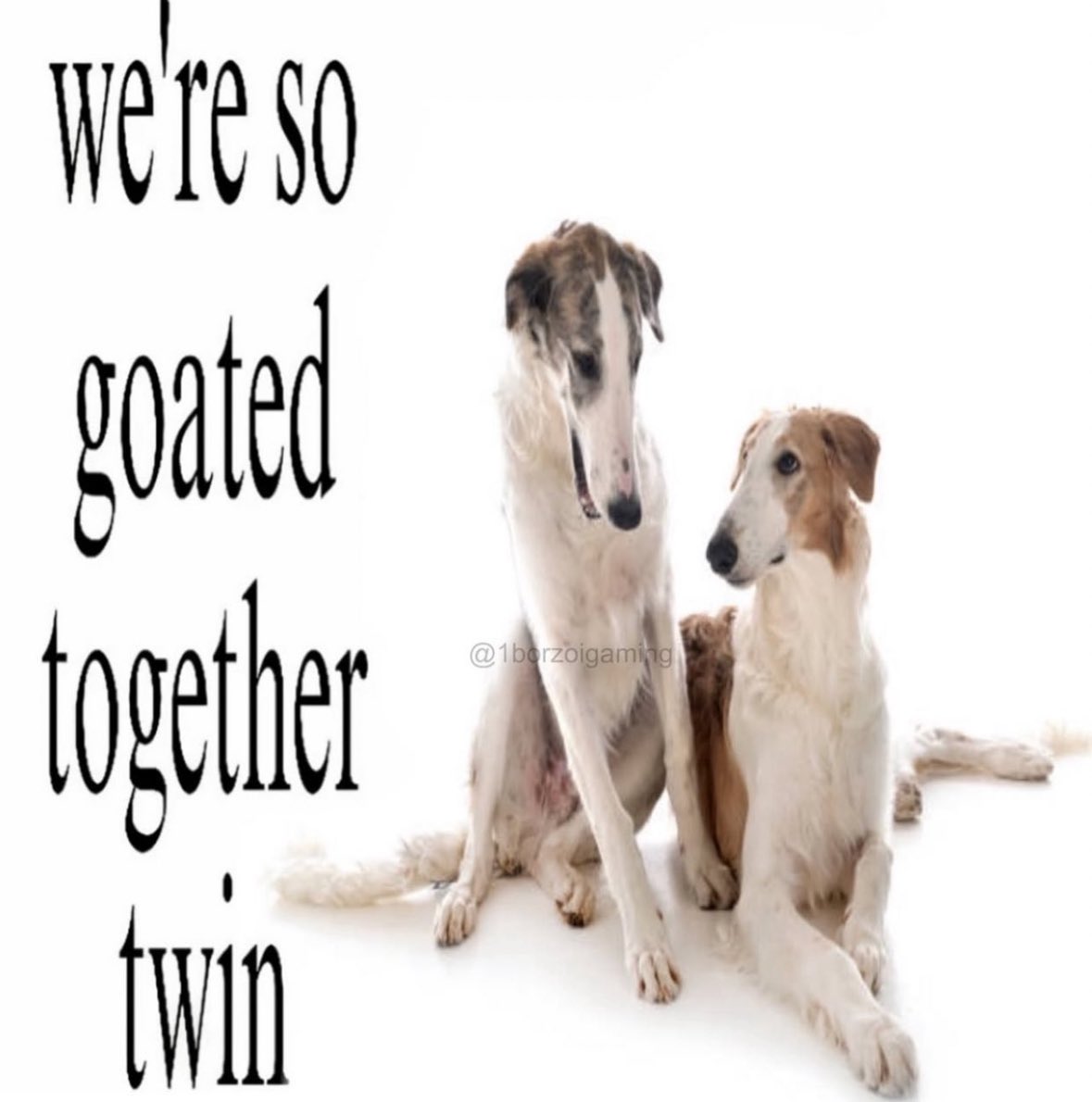 pomfret417's tweet image. False Point - pomfret x @deliriumsux 

July 3rd (if cd baby doesn’t screw us)

delirium.
1. This Thing Between Us
2. Watch For The Light
Pomfret
1. Never Much of a Reader
2. I see why they call it Lake Michigan