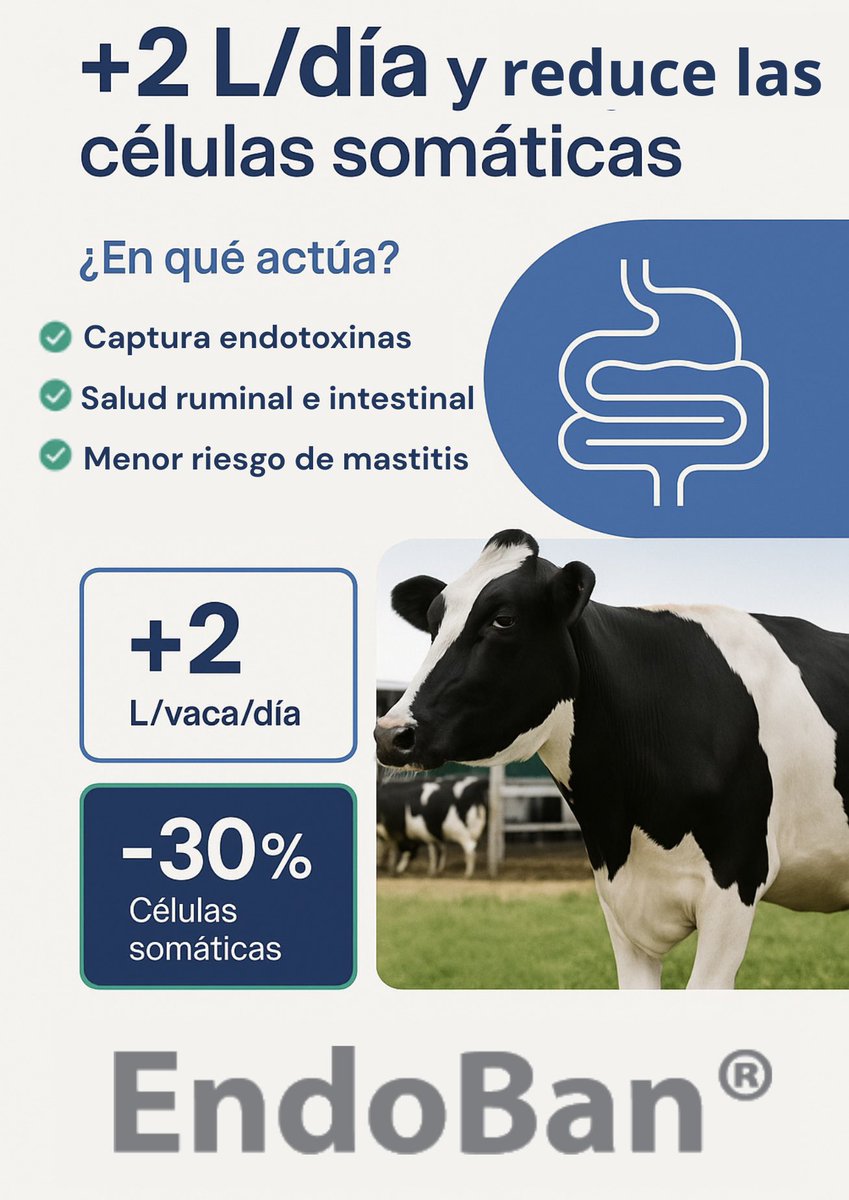 EndoBan: protección estratégica para el rendimiento lechero 🐄💪🏻

Una herramienta clave para sistemas que apuestan a la eficiencia y la sanidad animal 🫱🏻‍🫲🏽