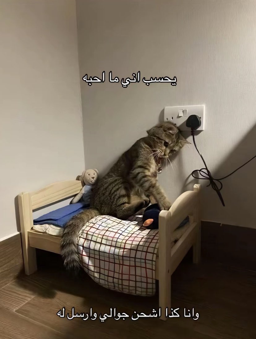 saa0m_'s tweet image. 