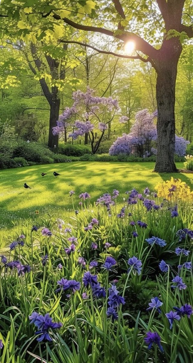 Good morning!
Blessed month of July
Have a beautiful day 💜💜