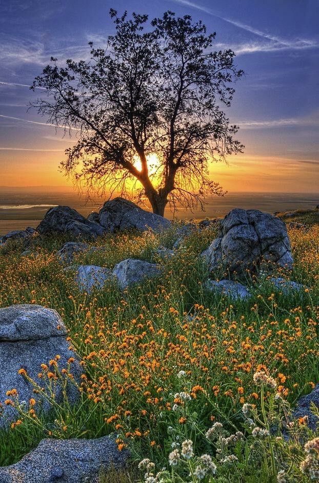 <a href="/bihbongha/">Bibekum 🇨🇲🇩🇰</a> Good evening my dear, Bibekum! 🧡💫