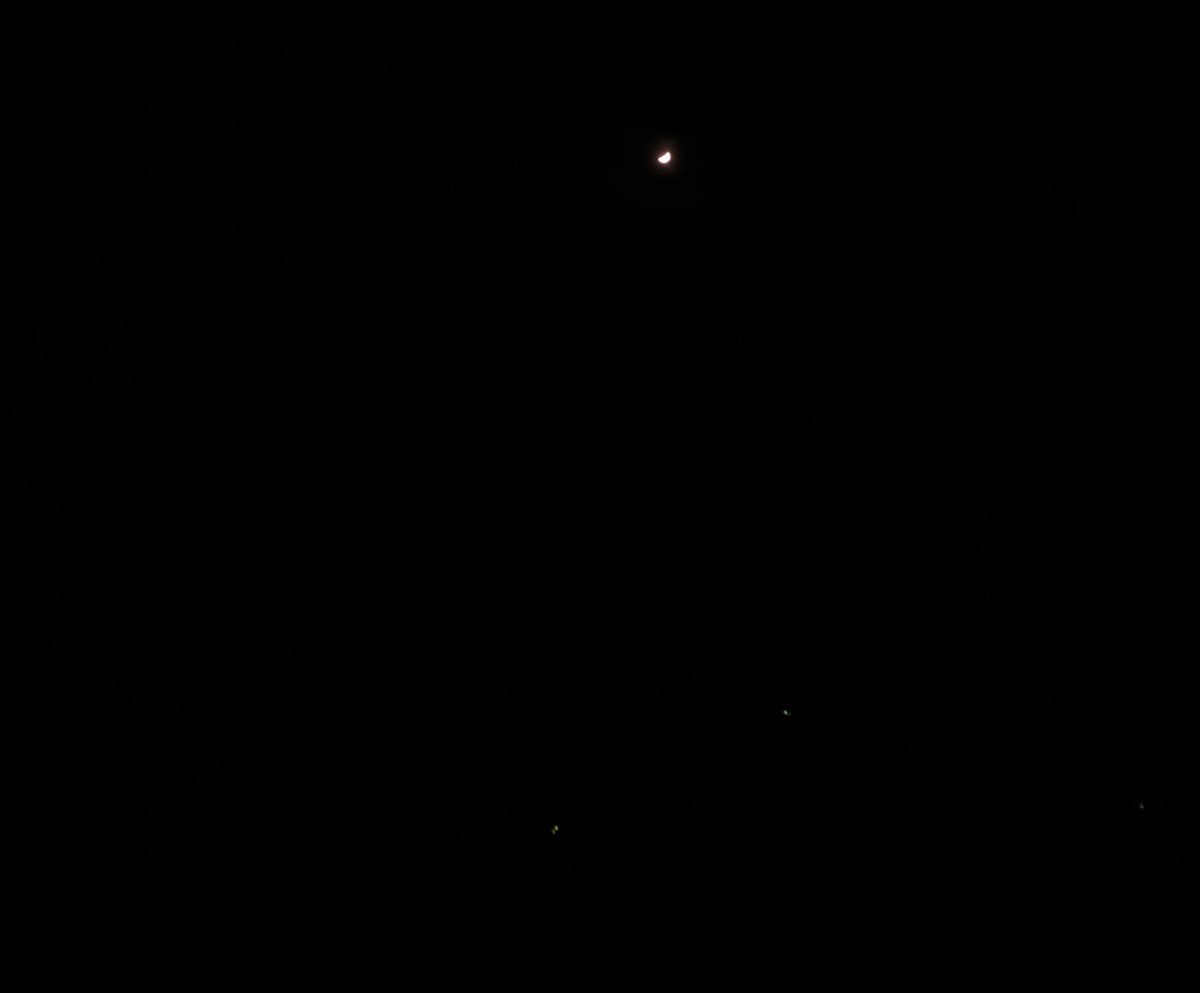 manidhan_1990's tweet image. Today moon 🌝 is beautiful zoom in and see ! #promode