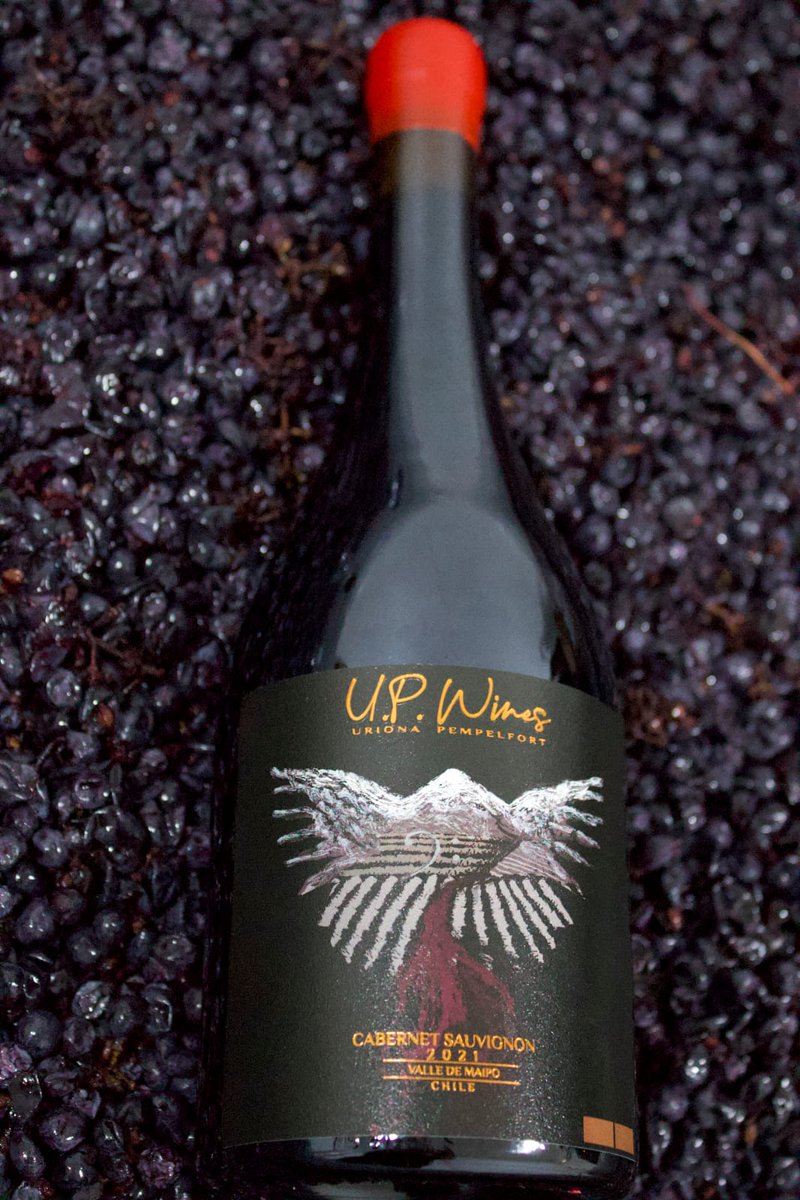 MossaPizza's tweet photo. Un Cabernet Sauvignon ?  Buenísimo @upwines.cl ( INSTAGRAM ) https://t.co/KJBCBNvEzm