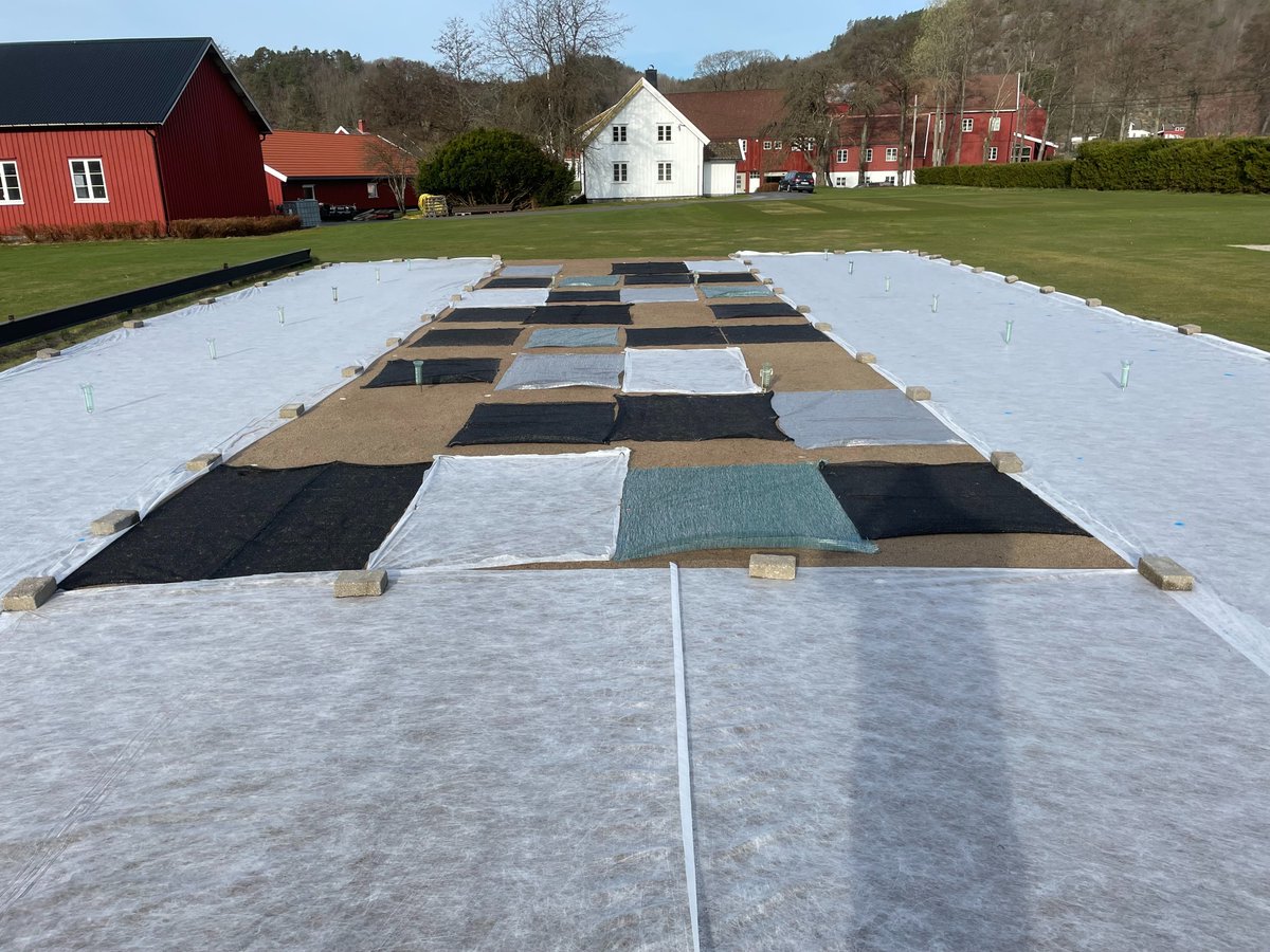 UMNTurf's tweet image. The July issue of our #WinterTurf newsletter is out! Read the latest work from our project about mitigating winter injury in turfgrasses: mailchi.mp/umn/winterturf…
To subscribe: winterturf.umn.edu/newsletter
📸 Trygve Aamlid