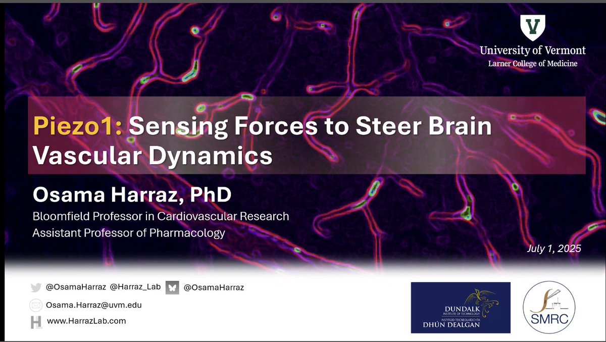 A massive thank you to <a href="/OsamaHarraz/">Osama Harraz</a> from <a href="/uvmcmb/">CMB @ UVM</a> at the University of Vermont, USA, for a wonderful seminar on his research today.