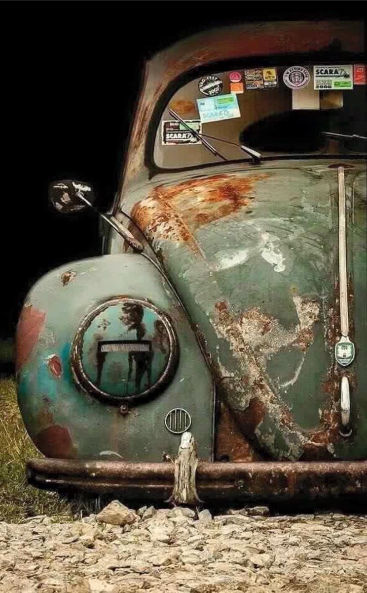 O le faltas el respeto a la vida, o ella te lo falta a ti !!! 
En esto No hay grises...

🖋️Luc.
📷web