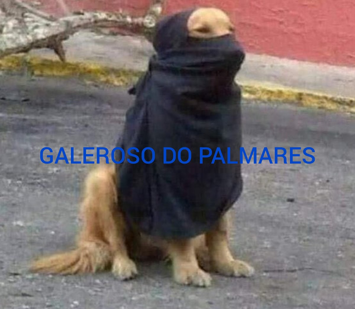 richgirlf1's tweet photo. a gente assim https://t.co/gjAYG6sJS7