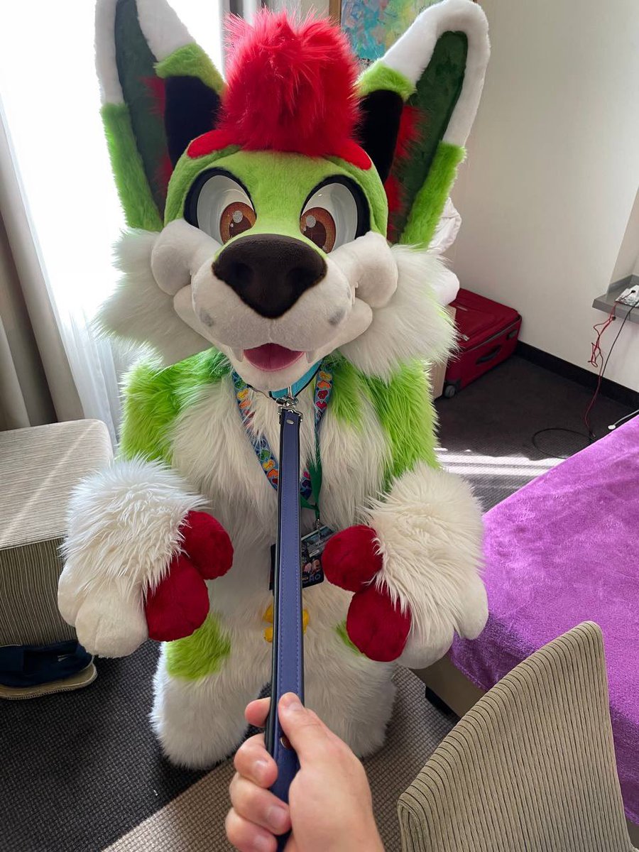 POV you have the leash, what do we do? 😅😳

📸 <a href="/VutieDeer/">Vutie</a>