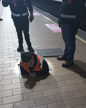 MetroCDMX's tweet photo. Durante la madrugada de este martes, personal de la Coordinación de Gestión Integral de Riesgos y Protección Civil, lograron el rescate de un felino que se encontraba bajo andén de la estación Copilco de la Línea 3. 

El gatito se trata de una hembra, color pardo, que ya había sido detectada en la zona en días previos.