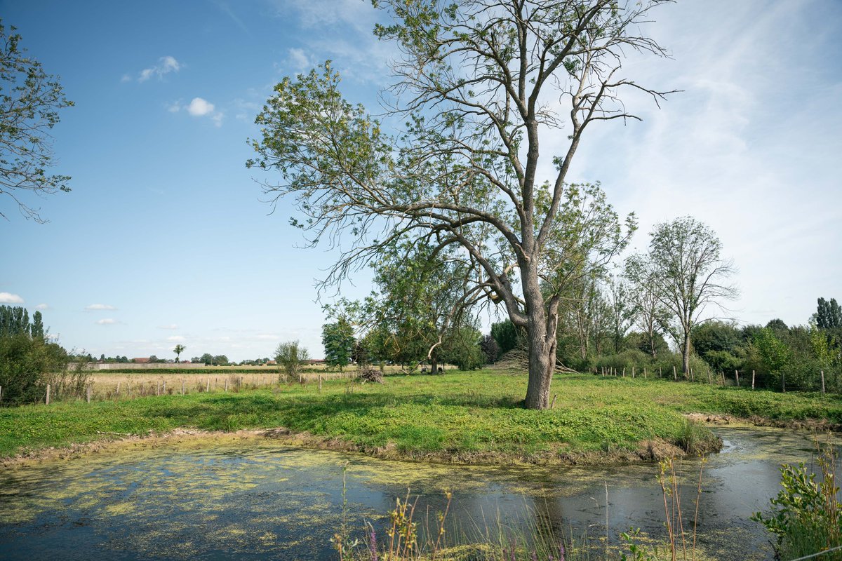 🌱 À Davrey, le Département a inauguré ce matin son 1ᵉʳ site labellisé pour préserver sa biodiversité, dans le cadre du schéma départemental des Espaces naturels sensibles.

ℹ️ Plus d'infos : pulse.ly/i0wztajy7t