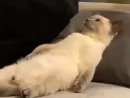 i finally wake up before noon and am sitting at my pc ready to get some work done only to find myself paralyzed with so many options that it feels like there isnt anything to do at all