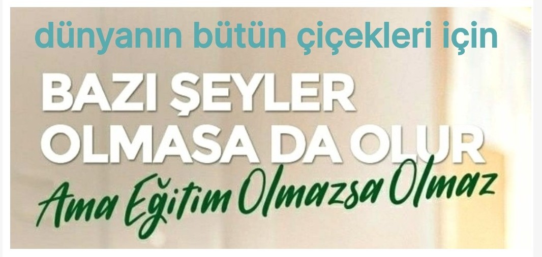 Yaşar SEZGİN tweet media