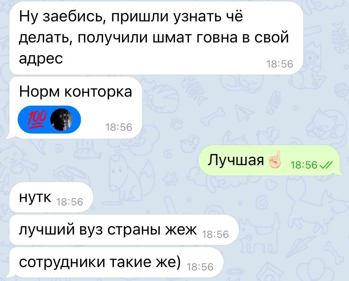 lipezina's tweet photo. Лучший вуз страны 🤦🏻‍♀️ https://t.co/8jAyFMSJHp