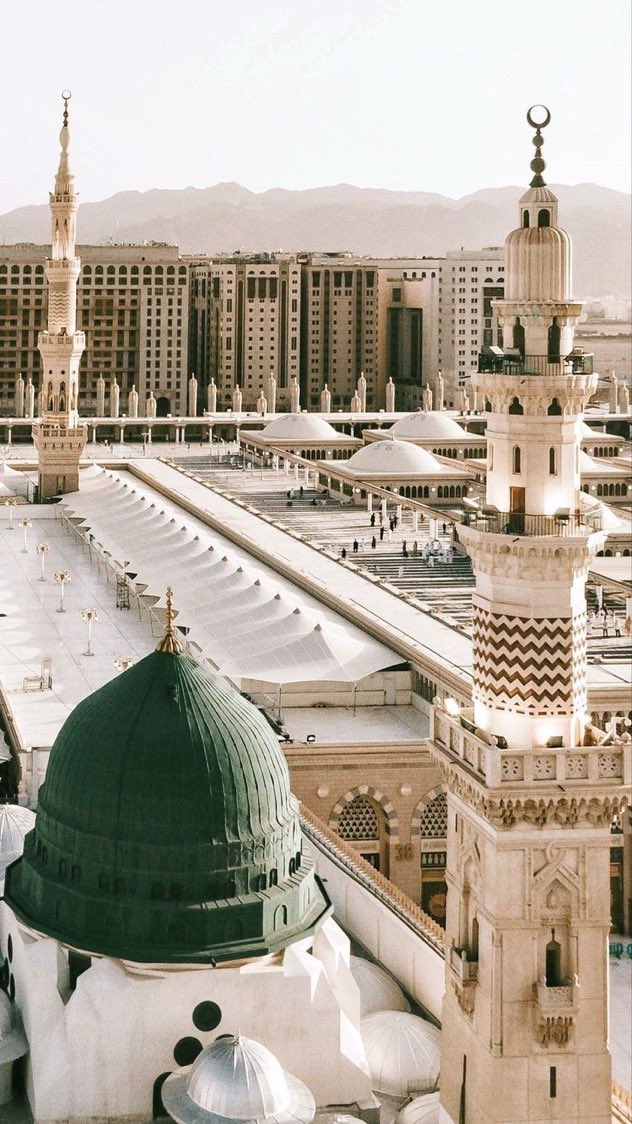 "Ebedi hadimü’l-Harameyniniz,
Ölsek de ravzanı ruhumuz bekler."