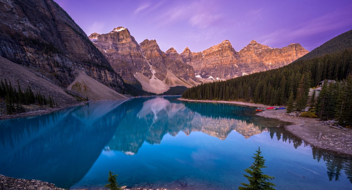 Dany Assaf tweet media