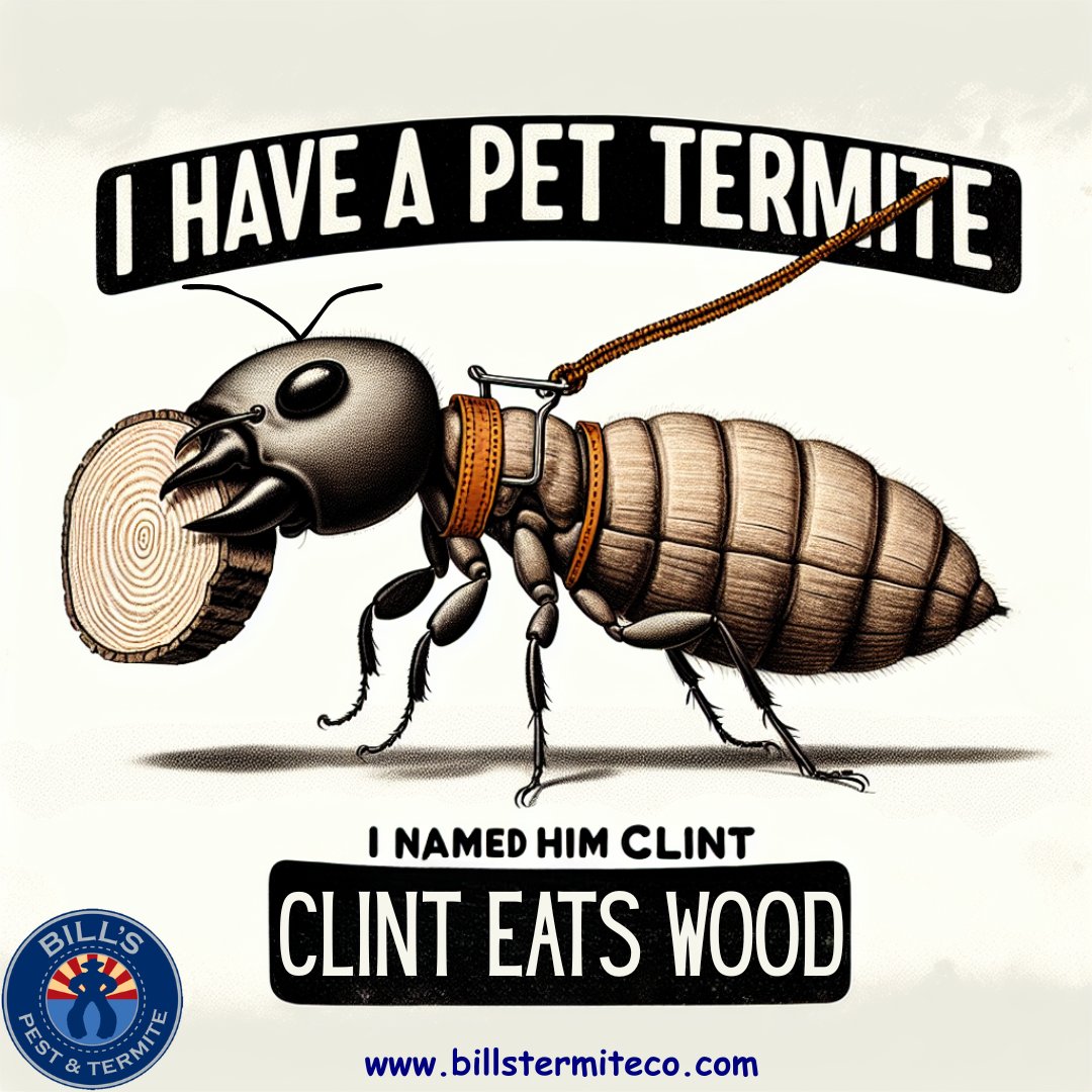bills_pest's tweet image. Need a little mid-week chuckle? Here you go:

&quot;I have a pet termite. His name is Clint. Clint eats wood.&quot;

(We hear he&apos;s really into hardwood floors, but has a real chip on his shoulder about oak! 😂)

Happy Wednesday, everyone! We&apos;re halfway to the weekend! 🎉

#PestHumor