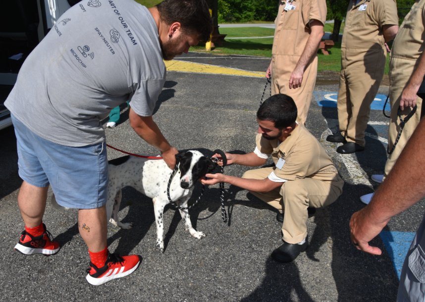 distevhass31's tweet image. Group 46 - Mountain Shelter Dogs, Daisy, Jack Black, and Sissy have arrived! Check out more pictures on our FB page: facebook.com/RescuedProgram/ ❤️🐾
@GA_Corrections @GAFirstLady @CLALeadership @jeffbreedlove1 @Recovery_GC4R @endthewhisper @JellyRoll615