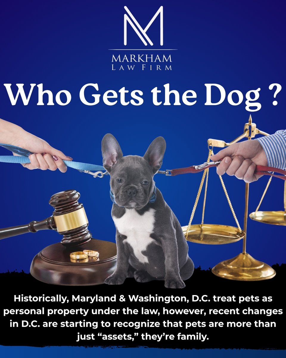 markhamlegal's tweet photo. What happens to the beloved family pet when a couple gets divorced and can’t agree on who keeps it? Read our blog, “Who Gets the Dog? How Courts in Maryland and D.C. Handle Pets in Divorce,” to learn the details of how pet ownership is decided in divorce:
https://t.co/9tuRB5SnKu https://t.co/t6fg3Hp9Yh