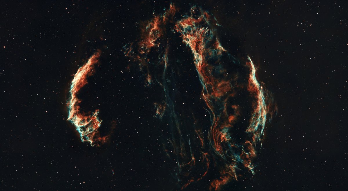 Tom Feldman tweet media