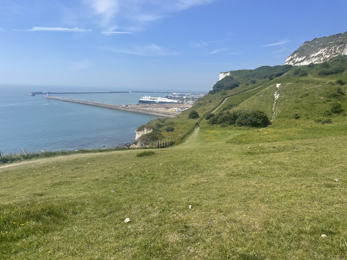 Today’s female Honey Buzzard, flew in off the sea over the eastern docks, Dover harbour @ 10.15, puts me on 8 arrivals here so far this year. The result of Prolonged favourable conditions and a lot of hours looking!