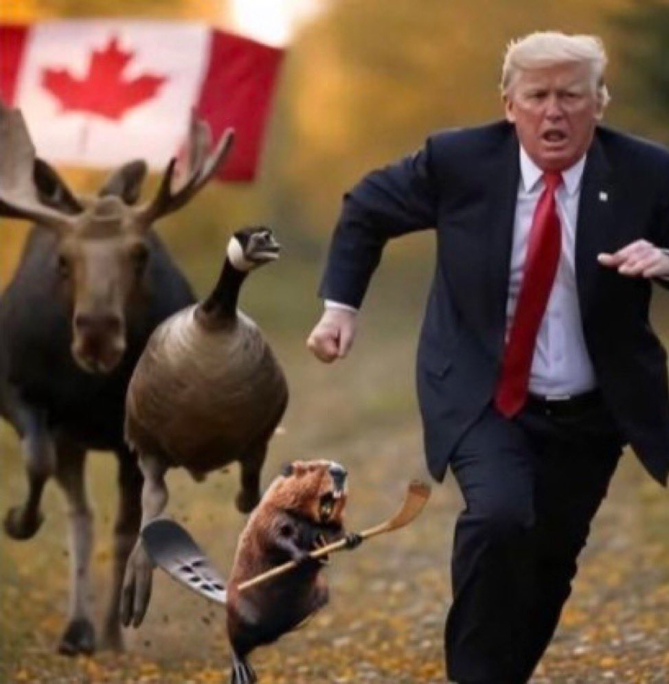 Happy Canada Day!! 🇨🇦