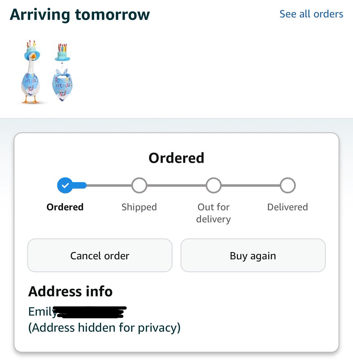 Another sprinkle headed out! Have y’all seen the goose mascot trend on TikTok? So fun 🪿 I got the birthday outfit that she’ll use to celebrate student birthdays! #ClearTheList #Teachersof𝕏
