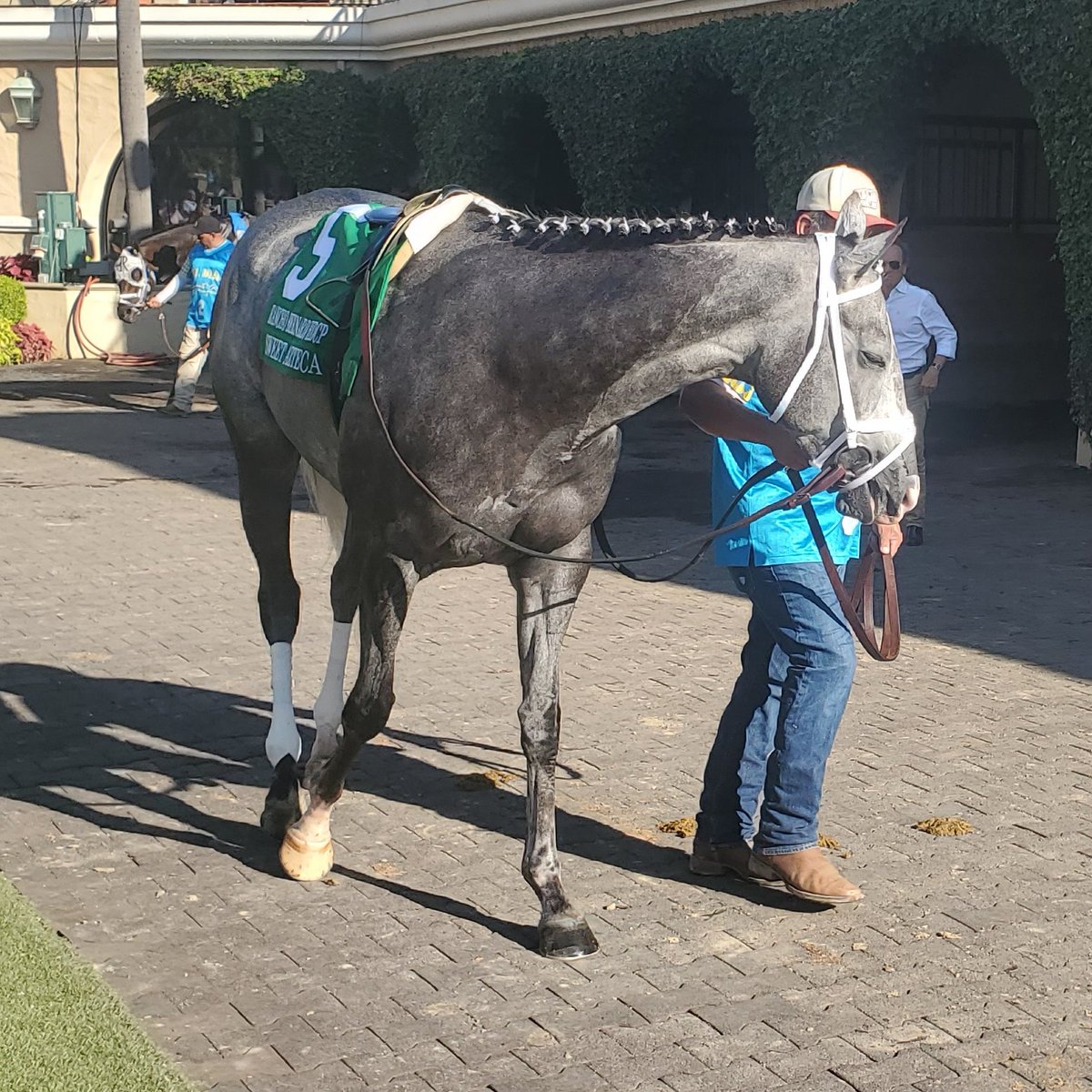 Sweet Azteca worked 5-furlongs in 59.2 at <a href="/santaanitapark/">Santa Anita Park</a> Saturday for <a href="/mwmracing/">Michael W. McCarthy</a>. 2/33. The winner of four straight last year, including the G1 Beholder Mile, is pointing to a defense of her crown in the G2 Great Lady M at <a href="/losalracing/">Los Alamitos Race Course</a> this weekend

📸 <a href="/jpcharvat/">@JPCharvat</a>