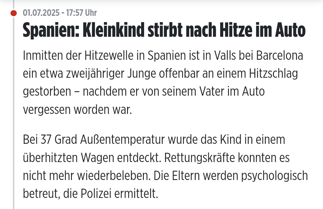 Ella  🇸🇪 tweet media