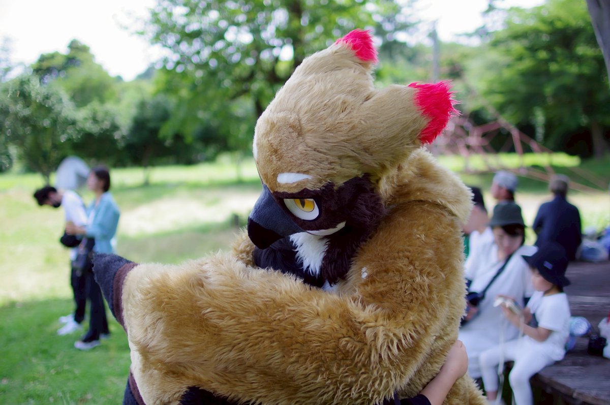 🦅むぎゅー
#FursuitEveryday