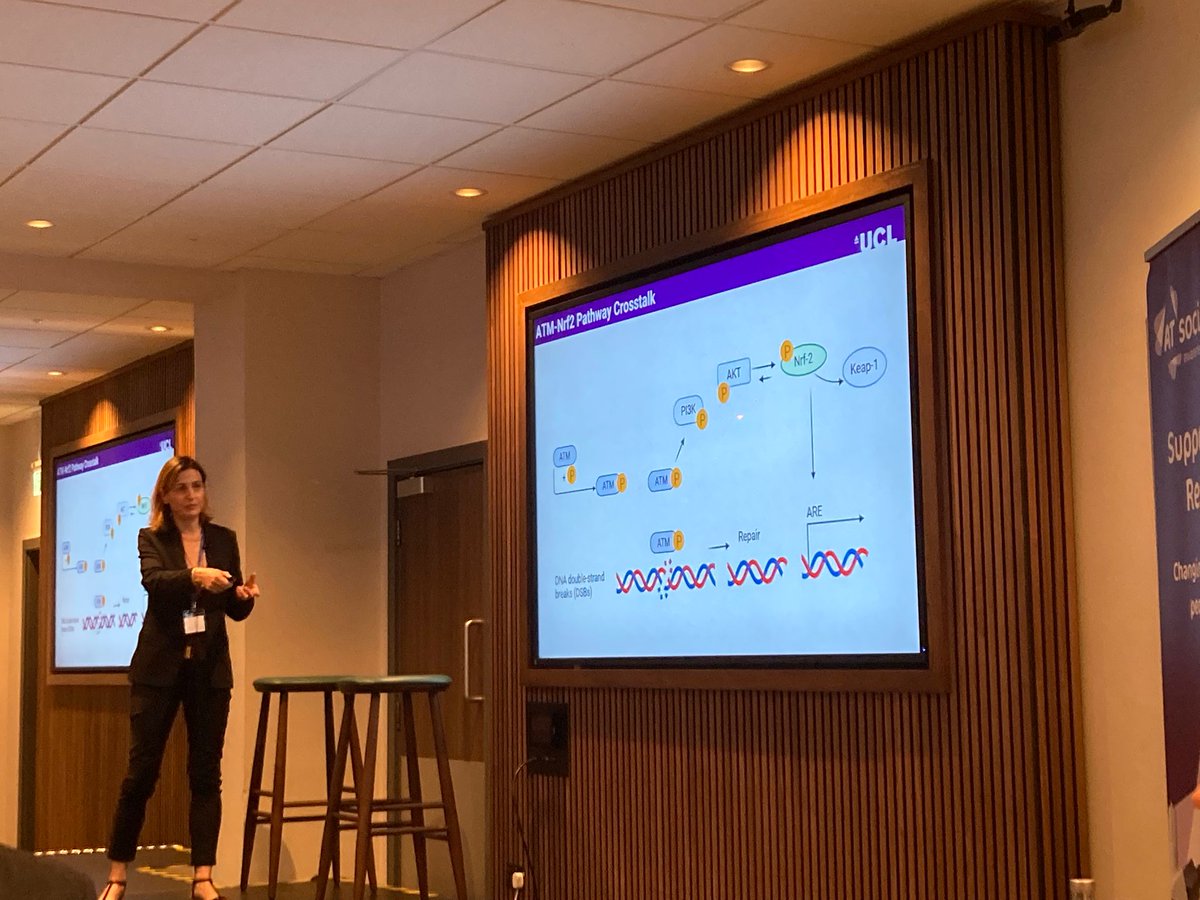 Ataxia Centre - UCL Institute of Neurology (@ataxiacentreucl) on Twitter photo Dr Rosella Abeti presented at the 2025 #Ataxia Telangiectasia (AT) #clinical #research conference.
Omaveloxolone, a treatment approved for #Friedreich’s Ataxia, effectively reduces oxidative stress in AT patient-derived fibroblasts - promising results for AT. <a href="/UCLIoN/">UCL Queen Square Institute of Neurology</a> <a href="/AtaxiaUK/">Ataxia UK</a> Dr Rosella Abeti presented at the 2025 #Ataxia Telangiectasia (AT) #clinical #research conference.
Omaveloxolone, a treatment approved for #Friedreich’s Ataxia, effectively reduces oxidative stress in AT patient-derived fibroblasts - promising results for AT. <a href="/UCLIoN/">UCL Queen Square Institute of Neurology</a> <a href="/AtaxiaUK/">Ataxia UK</a>
