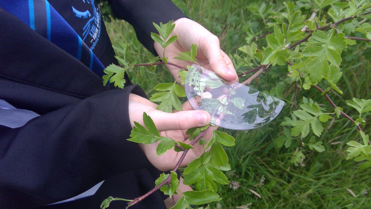 DerbyHighMaths's tweet image. Our nature question team took to the outdoors for inspiration in creating maths questions about nature, sampling and sustainability.

Tomorrow they’ll use their creative skills to present their questions ready for our QR code trail.

@derbyhighbury  #enrichment #experienceweek