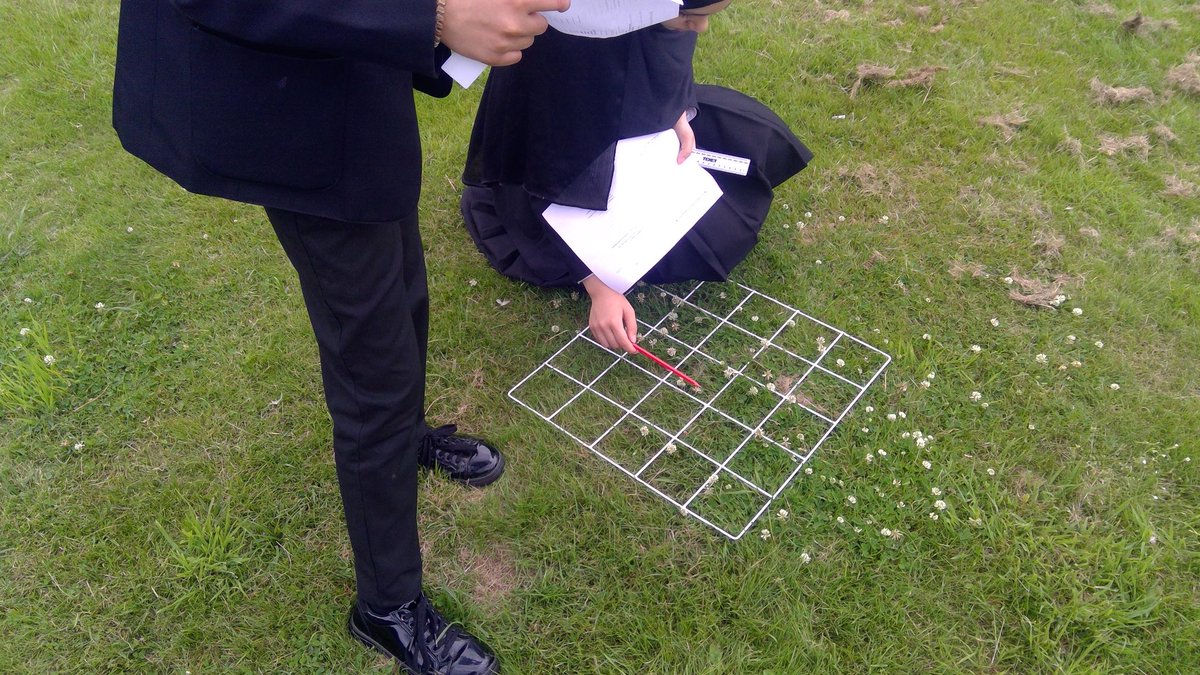 DerbyHighMaths's tweet image. Our nature question team took to the outdoors for inspiration in creating maths questions about nature, sampling and sustainability.

Tomorrow they’ll use their creative skills to present their questions ready for our QR code trail.

@derbyhighbury  #enrichment #experienceweek