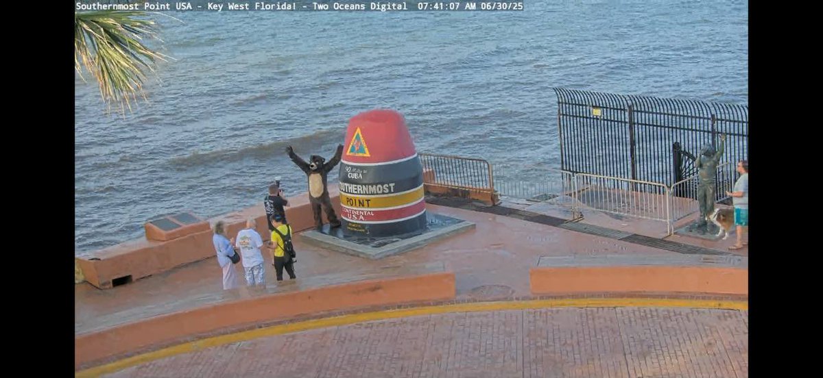 TyTyCub's tweet image. Reports are coming out of a bear spotted in Key West at the southern most point!