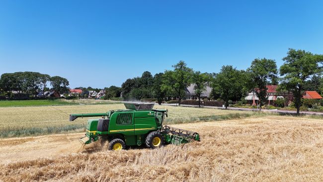 janvissersweer's tweet photo. Weerpraatje Jan Visser https://t.co/Z25gY0rUmT Zinderende opening van de hoogzomer! De Bilt brak vanmiddag met 35,5º het datum- en decaderecord; in het zuiden maxima tot lokaal bijna 38 graden. Foto: wintergerst oogsten in @MeteoRoodescho1 https://t.co/STc4VfPk8M